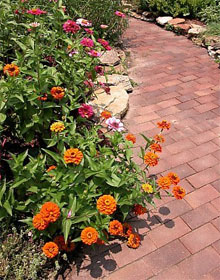 Lãng Mạn Đường Dạo Trong Vườn 